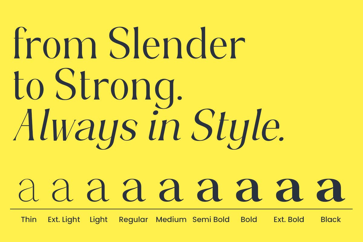 Fontera, a Serif Font by Slex Studio (Photo 2 of 13)