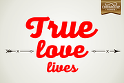 Alianza Script, a Script Font by Corradine Fonts (Thumbnail 4 of 6)