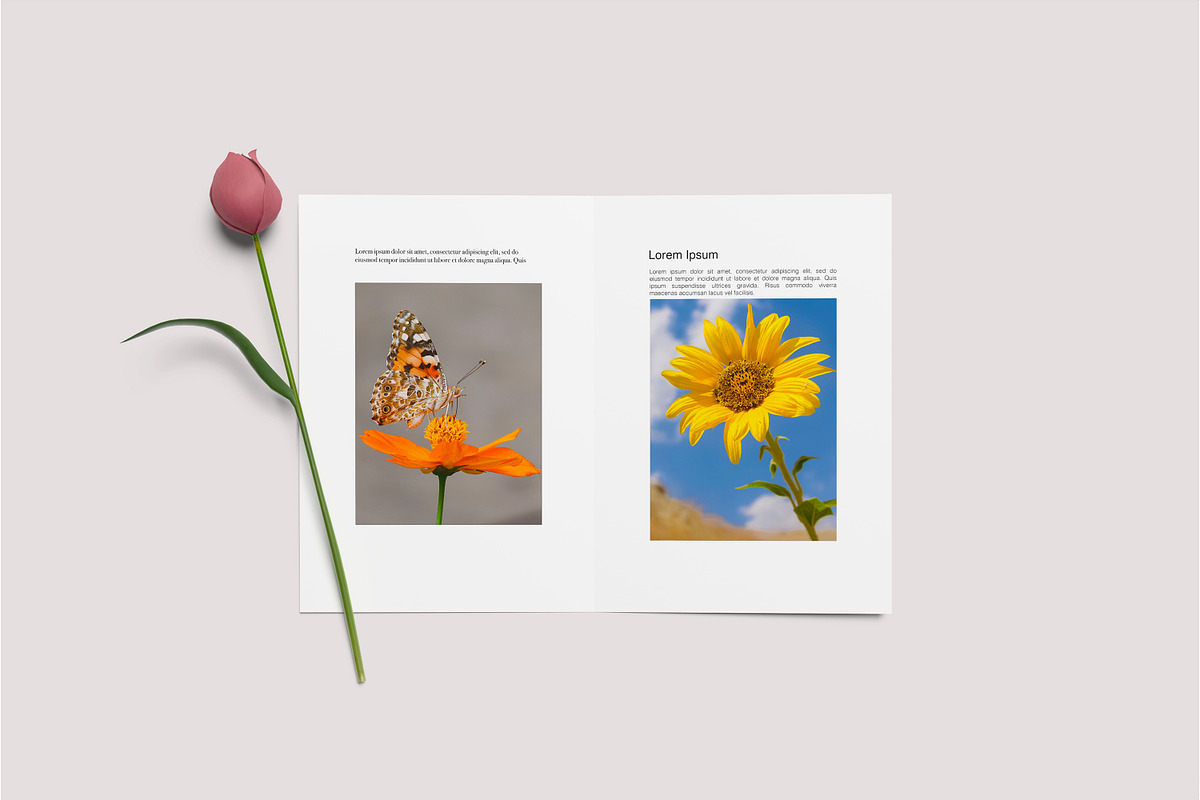 A4 Bifold Brochure Mockup, a Print Template by Beside Std (Photo 2 of 11)