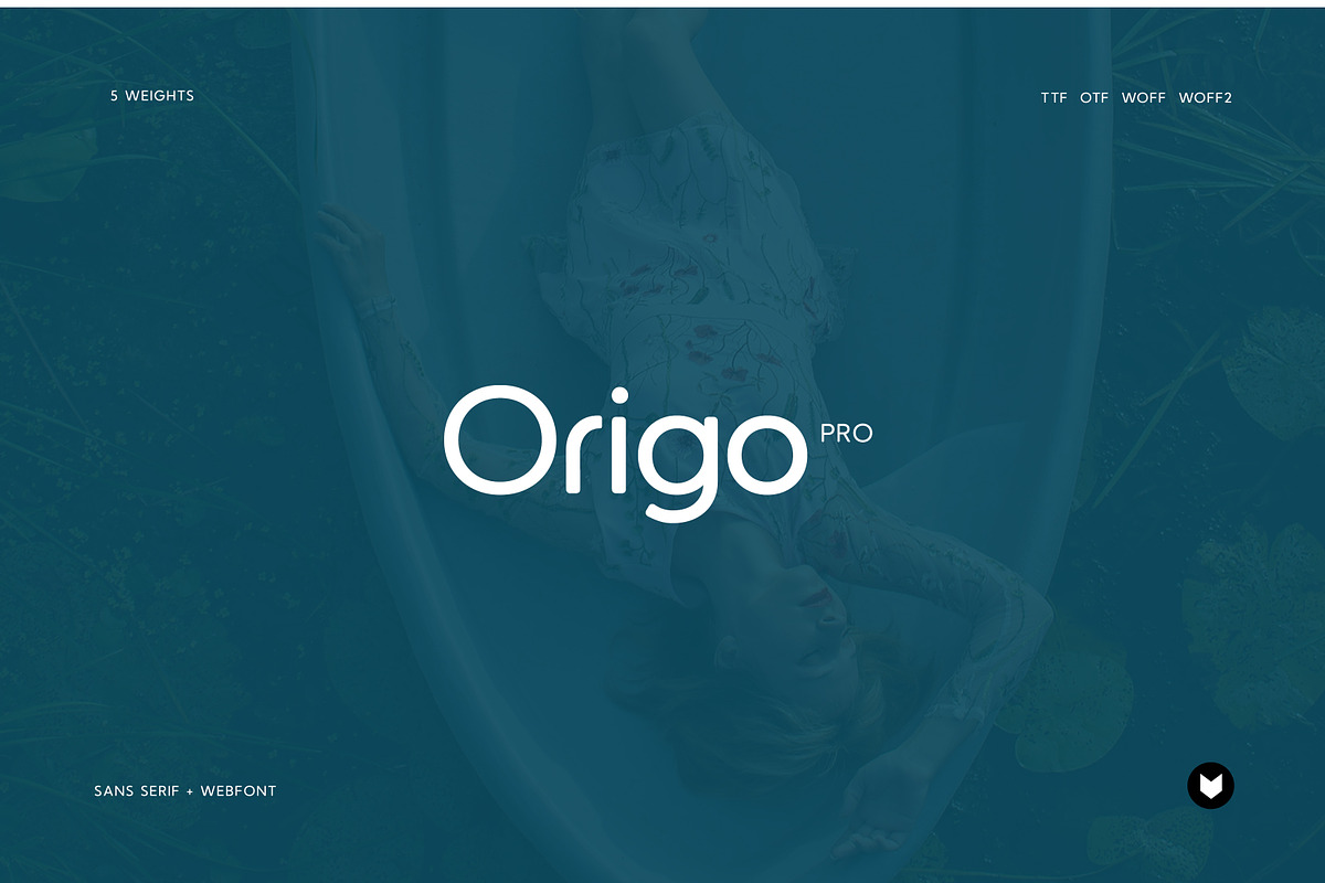 Origo Pro Modern Display Typeface, a Font by Foxtype (Photo 1 of 6)