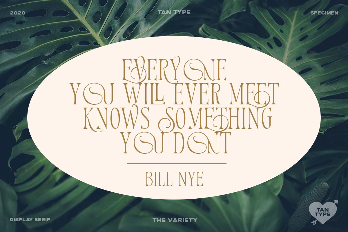 TAN - Variety, a Serif Font by TanType (Photo 11 of 26)