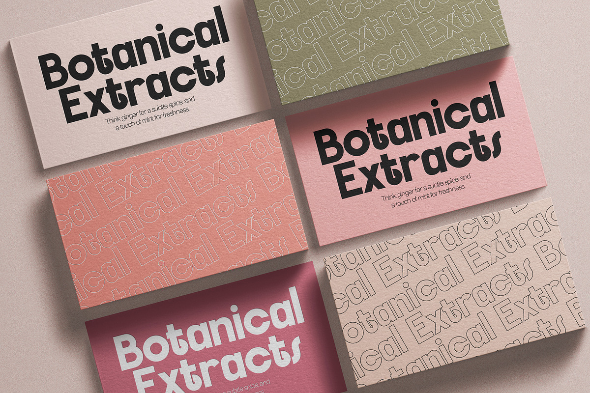 FlyBridge - Bold Ligature Rich Sans, a Sans Serif Font by SilverStag Type Foundry (Photo 15 of 30)