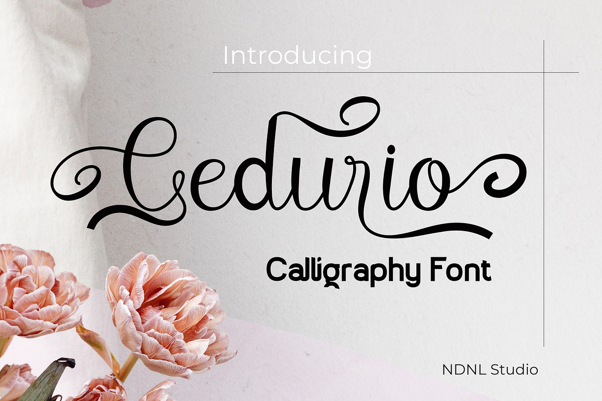 Cedurio - Calligraphy Font, a Script Font by NDNL Studio (Photo 1 of 6)