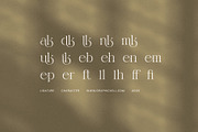 Rimak Elegant Serif Font, a Serif Font by Elegant Font (Thumbnail 8 of 8)