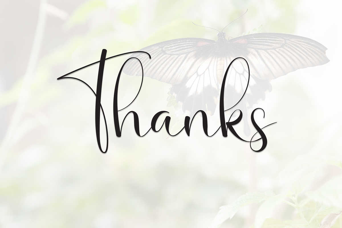 Butterfly | Script Font, a Handwritten Font by Scratchones (Photo 9 of 9)