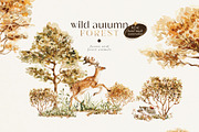 Wild autumn forest - watercolor fall, an Animal Illustration by Pamyatka Shop (Thumbnail 9 of 16)