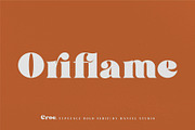 Croc. Typeface Bold Serif, a Serif Font by HanzelSpace Studio (Thumbnail 7 of 11)