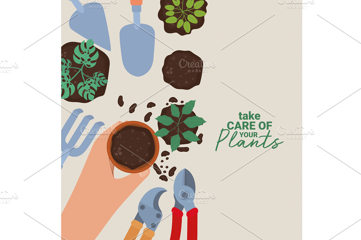 pretty plant poster, an Illustration by studiogstock