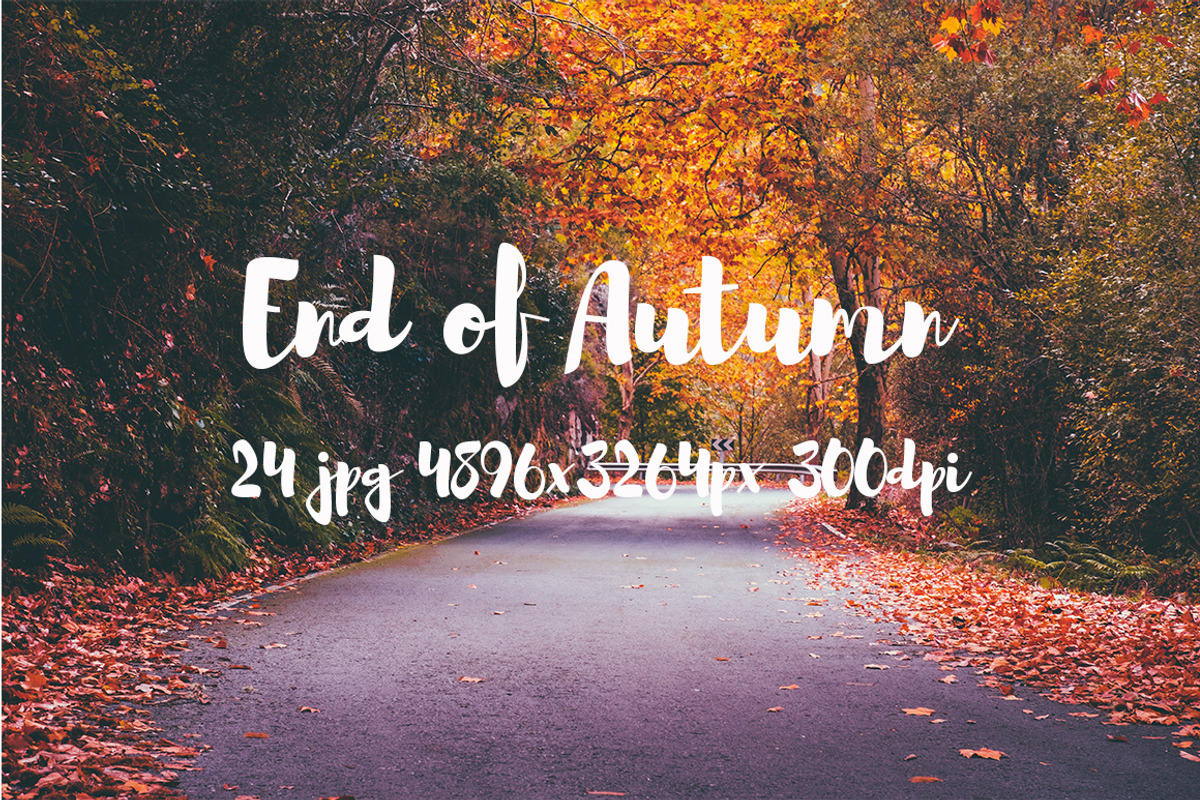 End of Autumn photo pack, a Templates & Theme by ApertureVintage (Photo 13 of 14)