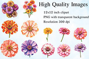Watercolor Zinnia Flower Clipart, an Illustration by Craft Nest (Thumbnail 3 of 5)