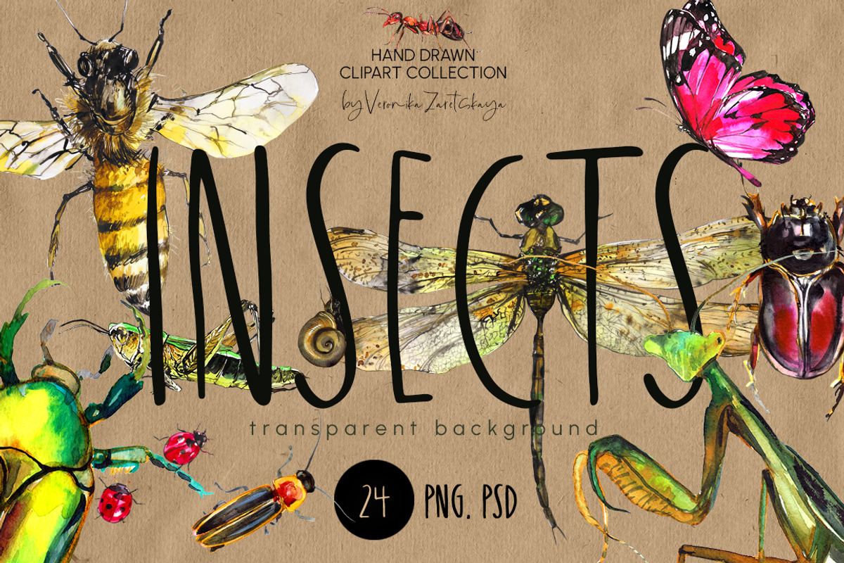 Insects and bugs watercolor clipart, an Object Graphic by ArtSpotVeronika (Photo 1 of 11)
