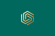 Hexagonal Geometric Linear Logo, a Branding & Logo Template by Signatoro (Thumbnail 3 of 3)