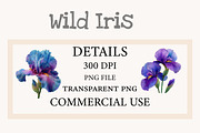 Wild Iris Clipart, an Illustration by Designworld (Thumbnail 2 of 10)