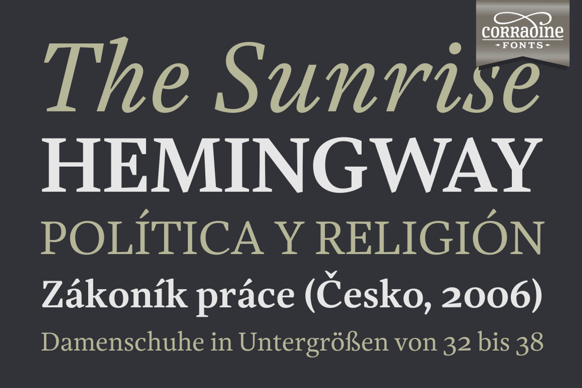 Austera Text Essential #1, a Serif Font by Corradine Fonts (Photo 11 of 14)