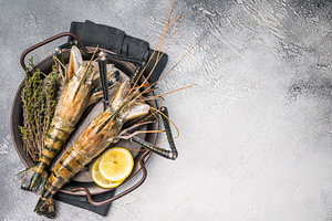 Plump raw giant river prawns shrimps, ideal for sushi, grilling,, a Food & Drink Photo by composter-box@mail.ru