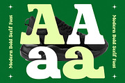 Parfect Silent Modern Bold Serif, a Serif Font by timelesstype.co (Thumbnail 6 of 20)