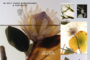 Botanical & Nature Collage Kit, an Object Graphic by Purple (Thumbnail 7 of 11)
