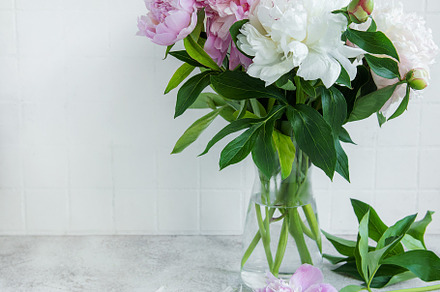 Beautiful bouquet of flowers: white and pink  peonies, a Nature Photo by Olena Rudo