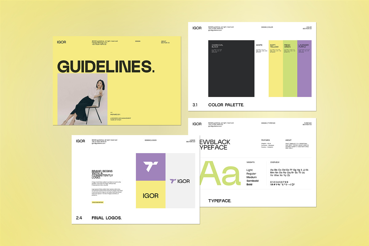 iGOR | Brand Guidelines, a Branding & Logo Template by creathrivestudio (Photo 6 of 11)