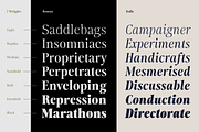 Moisette - 14 Fonts, a Serif Font by Nasir Udin (Thumbnail 3 of 14)