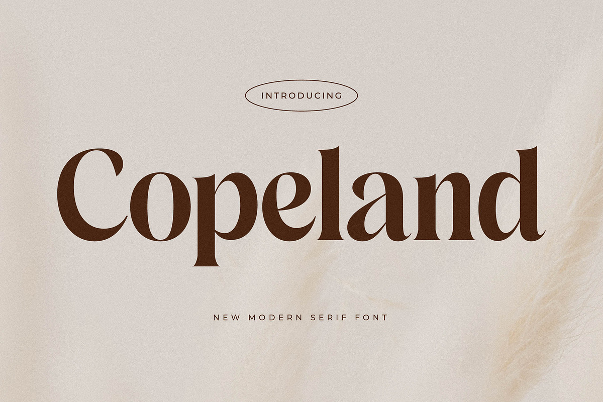 Copeland New Modern Serif Font, a Serif Font by Storytype Studio (Photo 1 of 15)