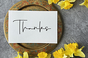 Adelia Signature, a Handwritten Font by FreshTypeINK (Thumbnail 7 of 8)