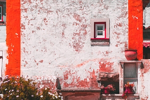 Rustic wall with flowers and pots, an Architecture Photo by SkyNext