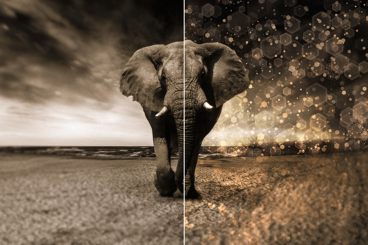 60 Bokeh Brushes & PNGs, a Brush Add-On by xresch (Photo 6 of 14)