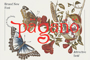 Pagano, a Serif Font by Portion.Labs (Thumbnail 1 of 10)