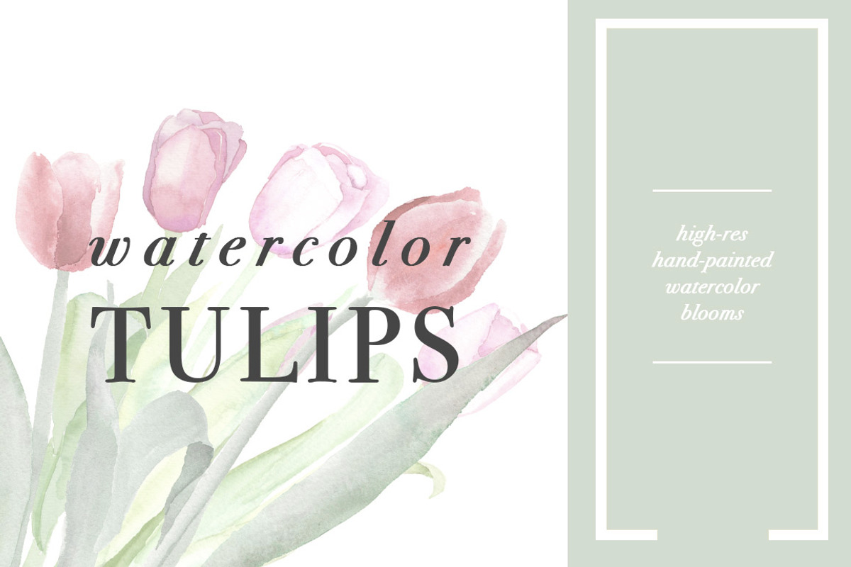 Spring Tulips, an Illustration by Instinct Design Co (Photo 1 of 2)