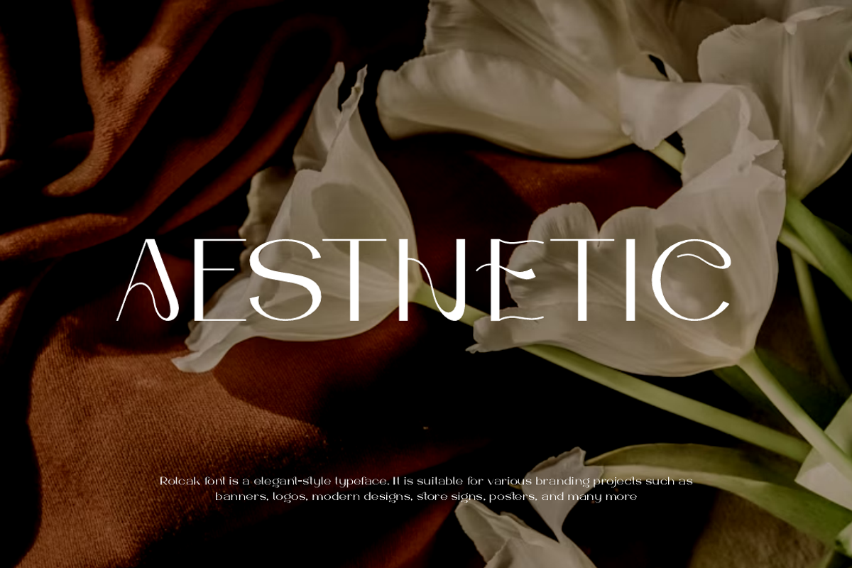 Rolcak - Fashion Brand Font, a Sans Serif Font by QR Design Studio (Photo 6 of 16)