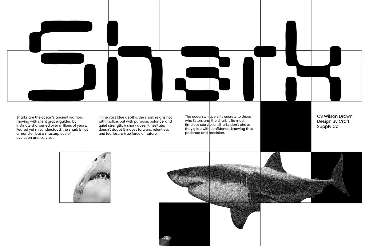 CS Wilson Drawn, a Sans Serif Font by Craft Supply Co. (Photo 6 of 8)