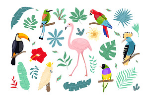 Tropical Birds And Plants. Jungle