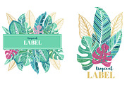 Tropics.Vector Art., an Animal Illustration by TashaDraw (Thumbnail 7 of 9)