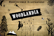 Woodlandia Hand Drawn Illustrations, an Illustration by Lone Star I&D (Thumbnail 1 of 4)