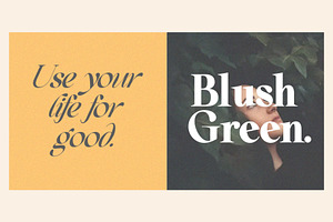 Beautiful Comethrue Family 54 Fonts