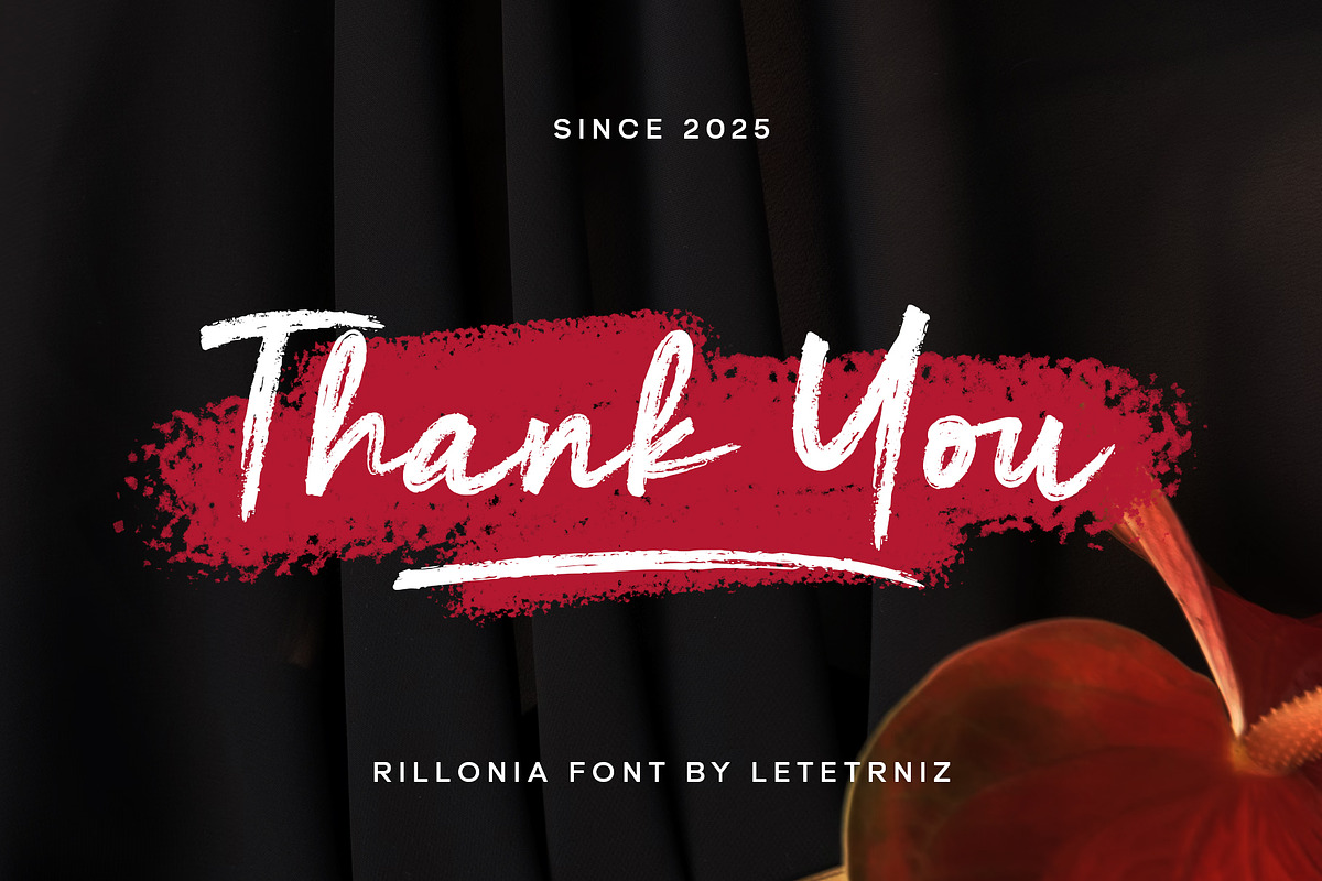 Rillonia brush font, a Script Font by nizarbagasm (Photo 6 of 6)