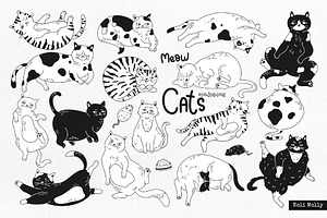 Lazy cat Monochrome