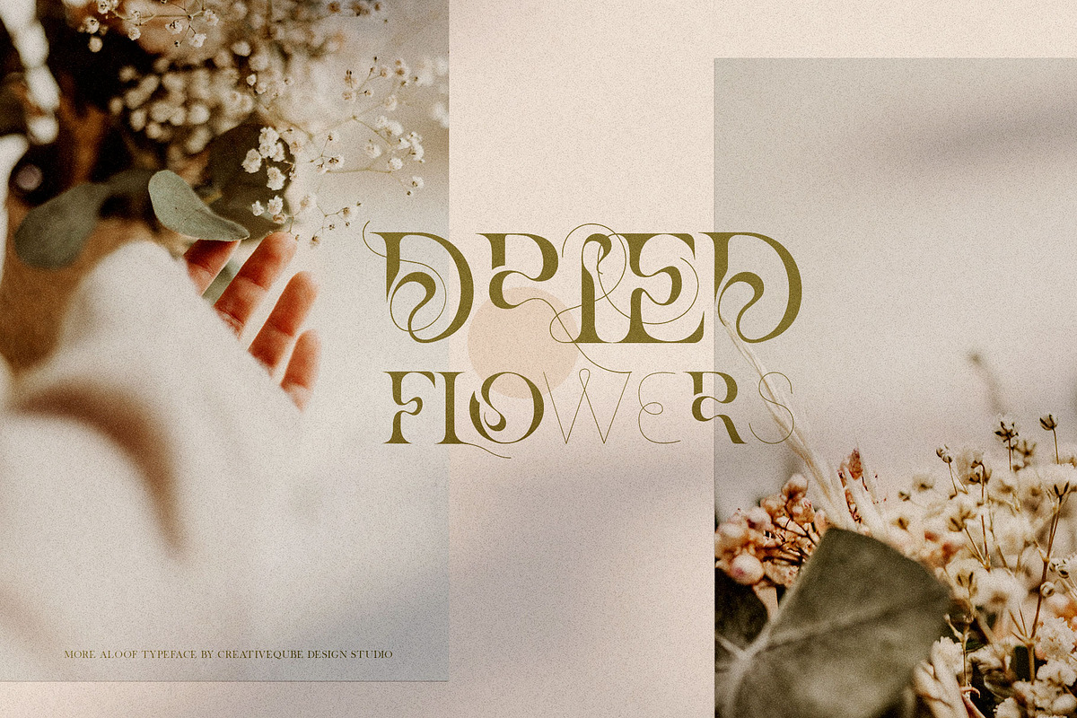 More Aloof Typeface Font, a Serif Font by Creativeqube Design (Photo 10 of 14)