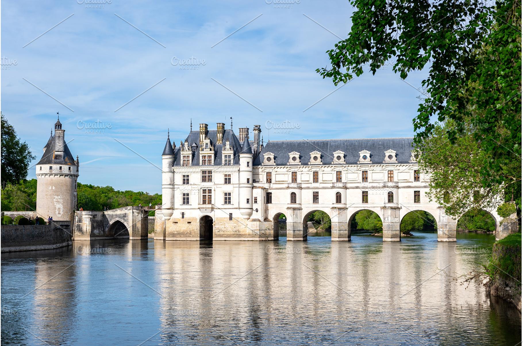 Castle of Chenonceau in Loire Valley, an Architecture Photo by MAnuta