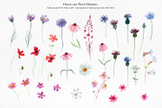 Wildflower Watercolor Collection, a Decorative Illustration by Anna Druzhkova (Thumbnail 2 of 23)