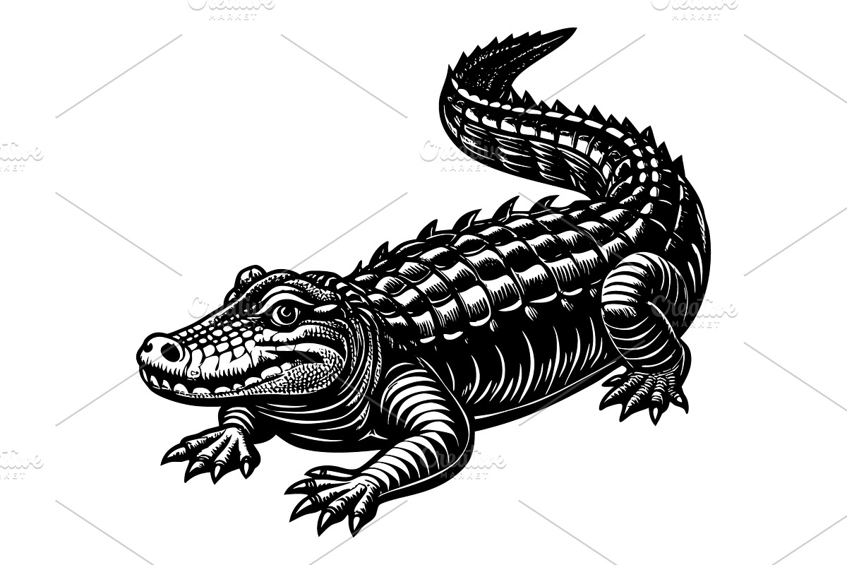 Alligator, an Illustration by Mark1987