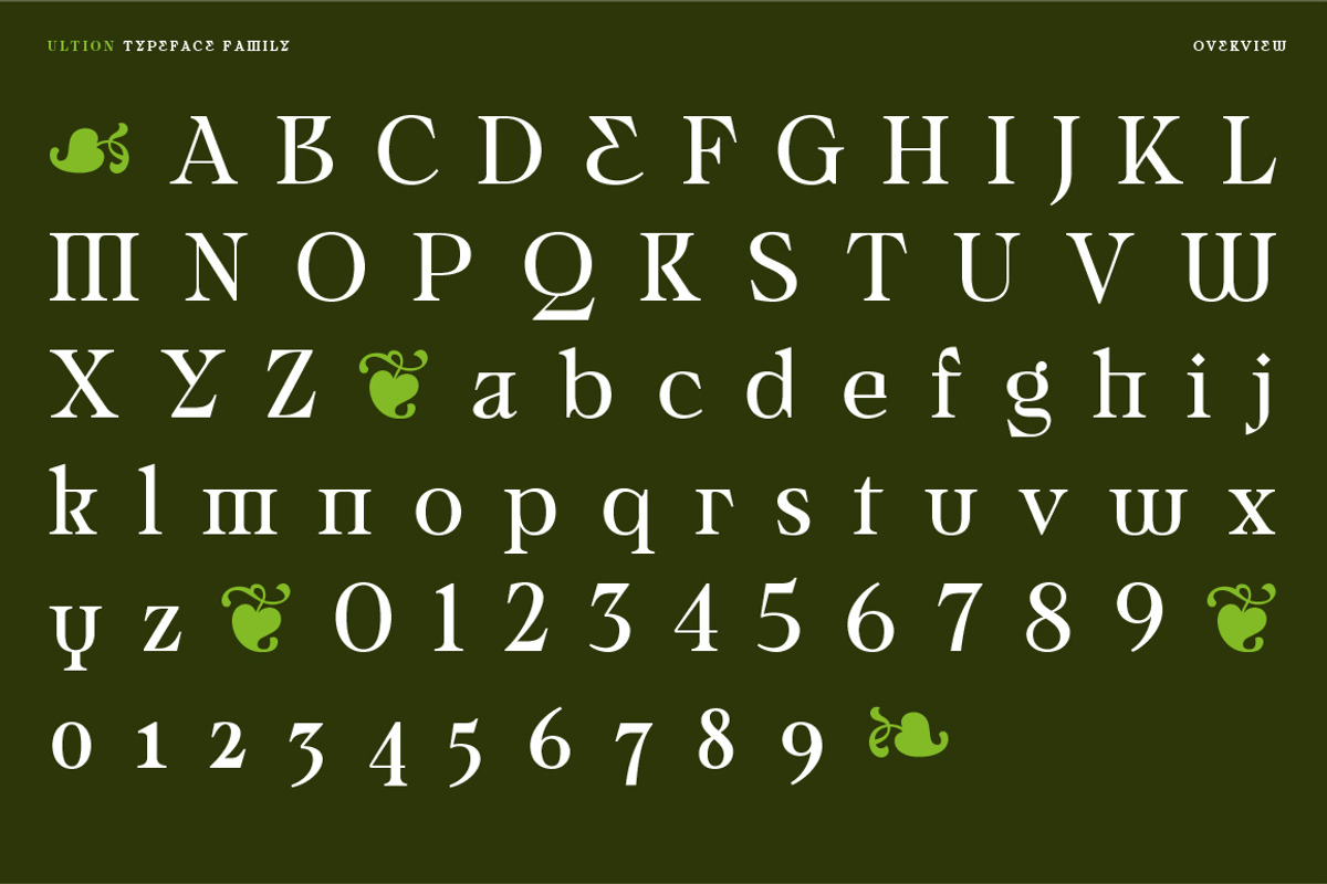 Ultion, a Serif Font by Typogama (Photo 2 of 16)