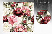 WATERCOLOR BUNDLE Peonies & Roses, an Illustration by ollalya (Thumbnail 9 of 101)