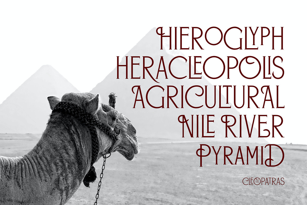 The Cleopatras Typeface, a Serif Font by ikiiko (Photo 5 of 8)