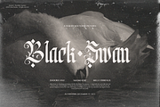 Menttalis | Blackletter Typeface, a Blackletter Font by Denustudios (Thumbnail 2 of 12)