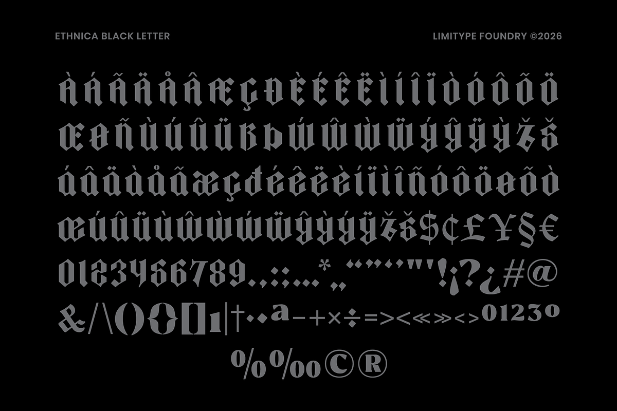 Ethnica - Blackletter Font, a Blackletter Font by limitype (Photo 9 of 10)