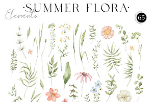 Flowers & Butterflies. Summer Botany