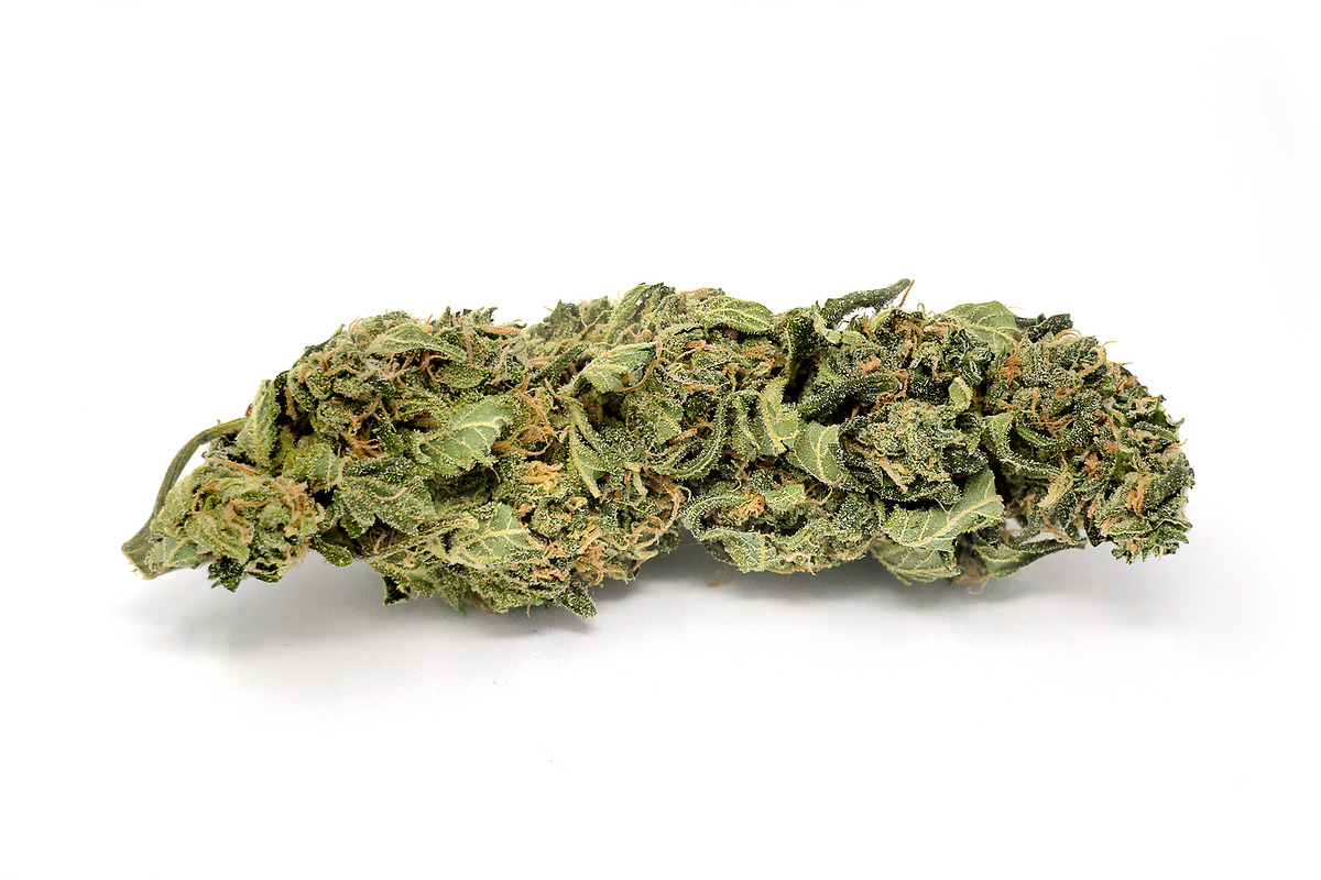Cannabis marijuana weed photo pack, a Nature Photo by Kohl + Cole (Photo 5 of 6)