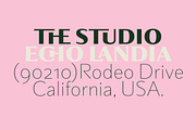Partner, a Sans Serif Font by Sudtipos (Thumbnail 5 of 7)
